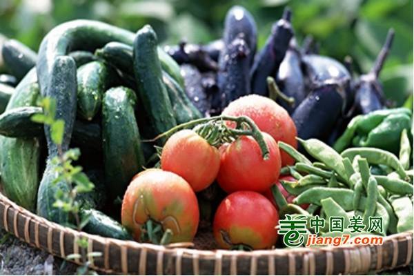 雙節(jié)來臨 蔬菜供應(yīng)量足價(jià)穩(wěn) ()