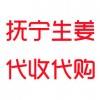 撫寧2019年紅頭姜即將上市 歡迎來電咨詢