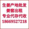 今日生姜價(jià)格 生姜產(chǎn)地批發(fā)