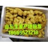 生姜產地批發，大黃姜，小黃姜
