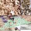 出售：無硫干姜片
