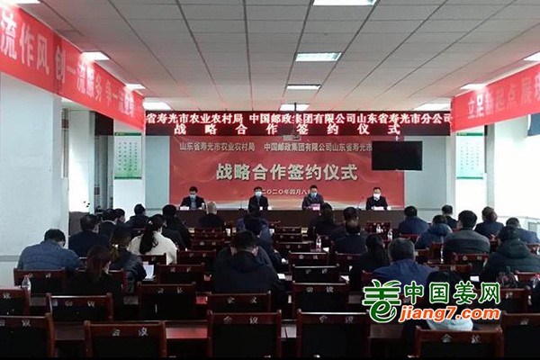 壽光推出為農(nóng)服務(wù)新舉措 ()