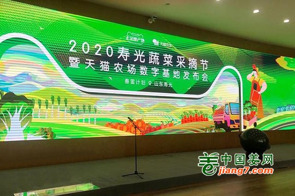 壽光蔬菜采摘節(jié)開始啦! ()