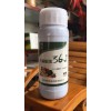 大姜生根增產百分十五