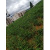 地里預(yù)訂