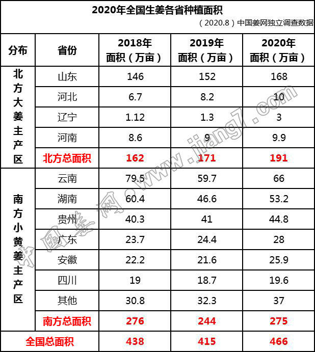 面積11