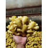 大量貨源，保證質量