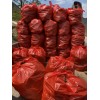 山東沂水穩定大量供貨各類生姜