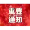 大量供應(yīng)云南小黃姜