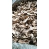 干姜片急出售40噸