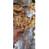大量小黃姜，大黃姜，價格便宜需要的老板抓緊聯系