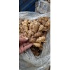 大量生姜，價(jià)格便宜