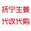 撫寧2020年泥姜 紅頭姜上市 歡迎來電咨詢