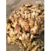 產(chǎn)地直供新姜