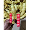 山東大黃姜小黃姜產(chǎn)地批發(fā)價(jià)格