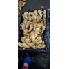 今日大黃姜小黃姜產(chǎn)地批發(fā)價格
