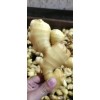 19號(hào)大姜、小姜實(shí)時(shí)價(jià)格