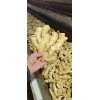 今日大姜小姜價(jià)格