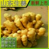 優質生姜！大小黃姜！窖藏老姜大量供應