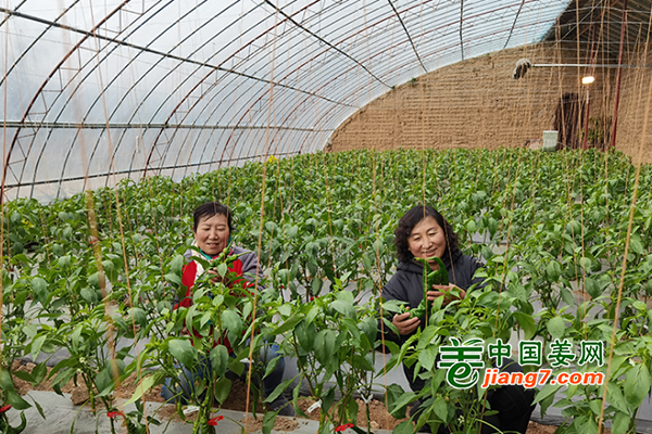甘肅平?jīng)觯憾臼卟吮９┓€(wěn)價(jià)惠民生 ()