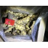庫存社會姜出售