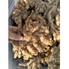 產(chǎn)地直供小黃姜，大黃姜