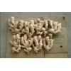 產(chǎn)地直銷，優(yōu)質(zhì)生姜價格便宜質(zhì)量保證