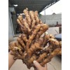 大量貨源質量保證價格便宜，產地直銷