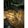 優質生姜
