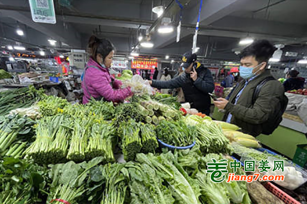 廣西南寧：反季節(jié)蔬菜價(jià)格漲幅明顯 ()