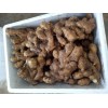 山東大姜產(chǎn)地，山農(nóng)一號姜種，山東小姜種