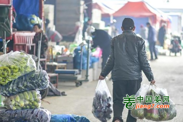 濟南：節(jié)后菜價大降 ()