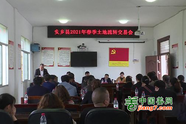 湖南安鄉(xiāng)：流轉(zhuǎn)千畝土地建設(shè)蔬菜基地 ()