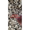 大量供應藥典標準生姜