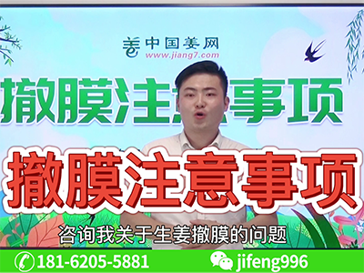 生姜撤膜注意事項(xiàng) ()