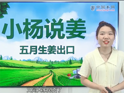 小楊說(shuō)姜：2021年5月生姜出口數(shù)據(jù)分析 ()