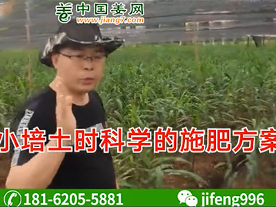 小培土?xí)r科學(xué)的施肥方案 ()