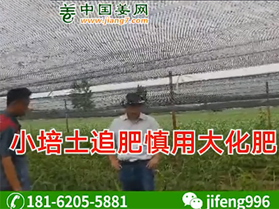 小培土追肥慎用大化肥 (1207播放)