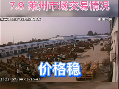 7月9日 萊州生姜交易實(shí)況（價(jià)格穩(wěn)） ()