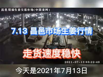 7月13日 昌邑生姜交易實(shí)況（走貨速度穩(wěn)快） ()