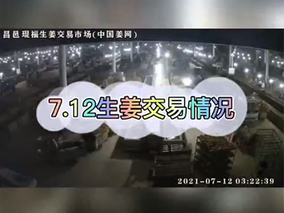 7月12日 琨福生姜交易實(shí)況（行情稍弱） ()