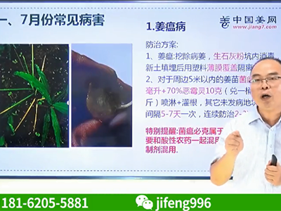 姜瘟的防控 (768播放)