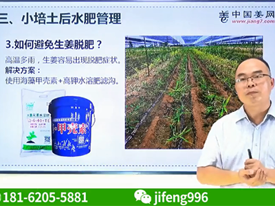 如何避免生姜脫肥？ (696播放)