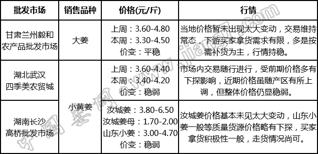 圖片7