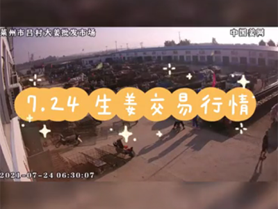7月24日 萊州生姜交易實(shí)況（價(jià)格持續(xù)下滑） ()
