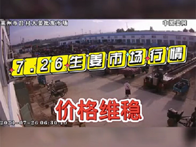 7月26日 萊州生姜交易實(shí)況（價(jià)格維穩(wěn)） ()