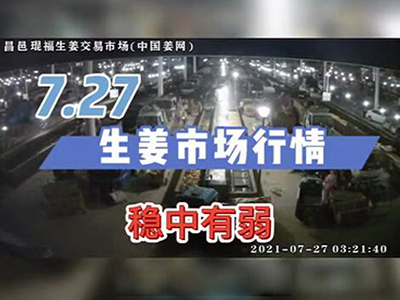7月27日 昌邑生姜交易實(shí)況（穩(wěn)中有弱） ()