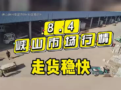 8月4日 峽山生姜交易實況（走貨穩(wěn)快） ()