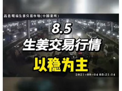 8月5日 昌邑生姜交易實況（以穩為主） (627播放)