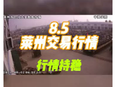 8月5日 萊州生姜交易實(shí)況（行情持穩(wěn)） (651播放)